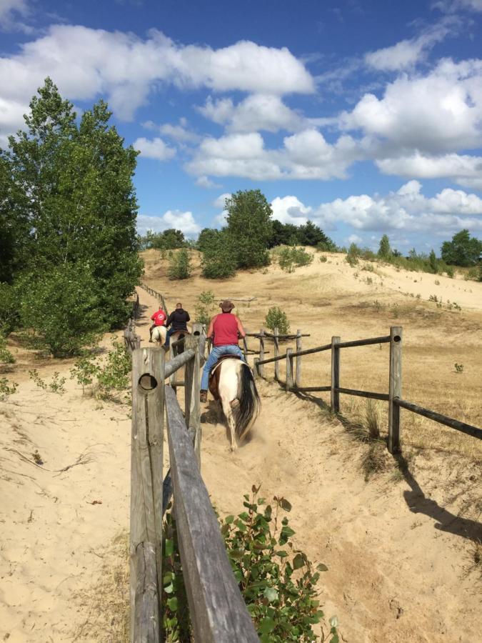 Vakantiehuisje 007 코크시데 외부 사진